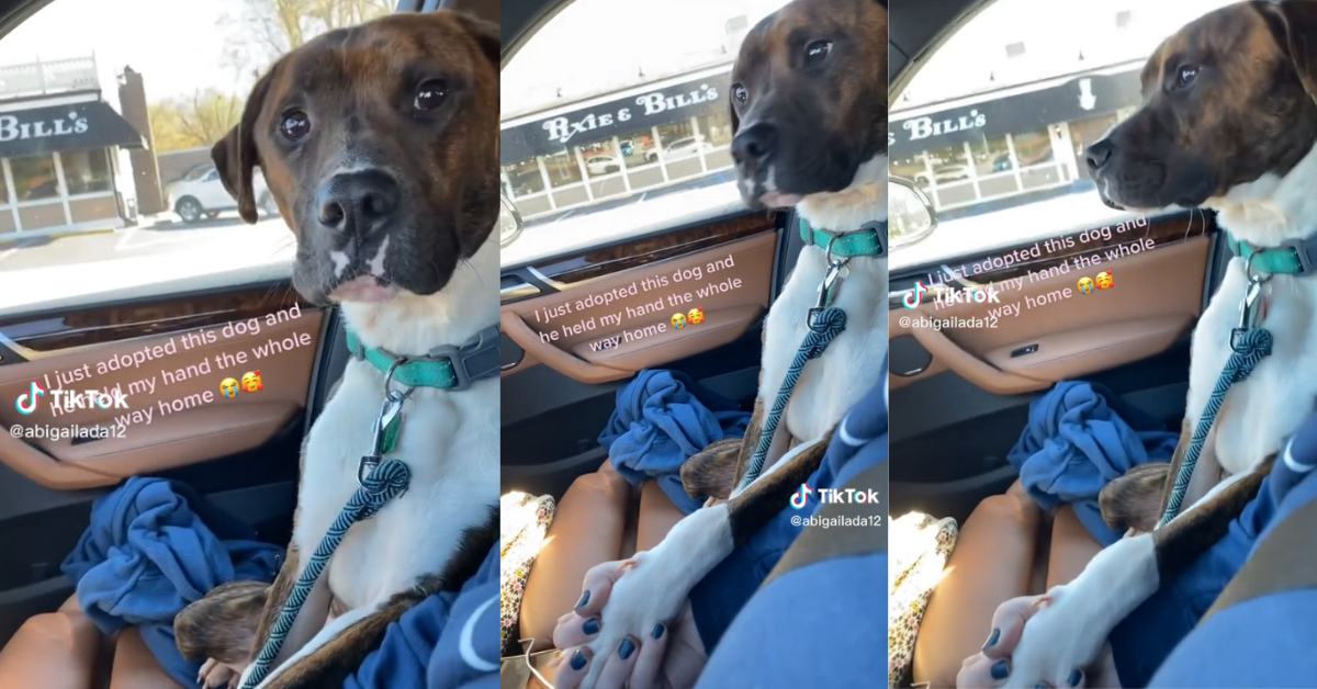 Woman holding hands with the dog she just adopted