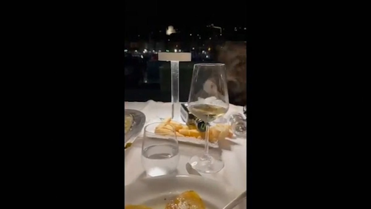 In Danimarca premiano i cacciatori. In Liguria i cinghiali arrivano fino al ristorante