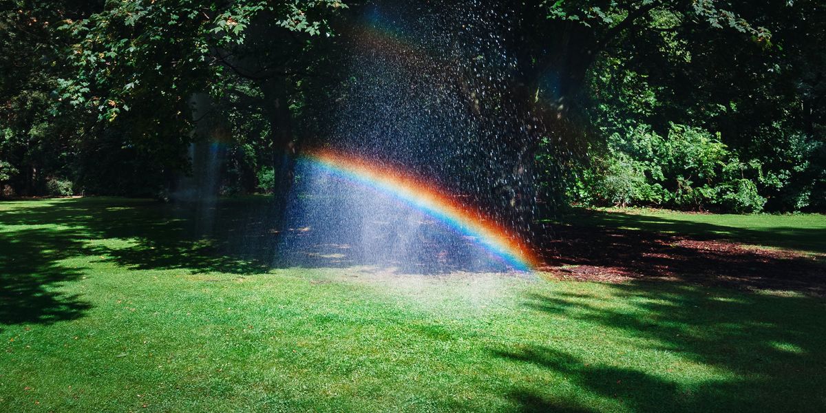 Rainbow reflected in sprinkler water