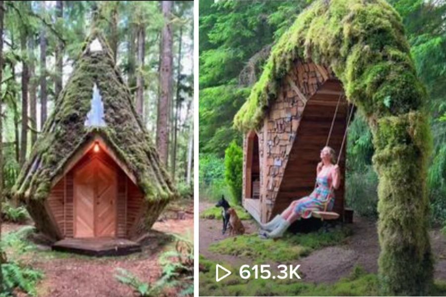 Couple makes hot tub out of old tree stump pic