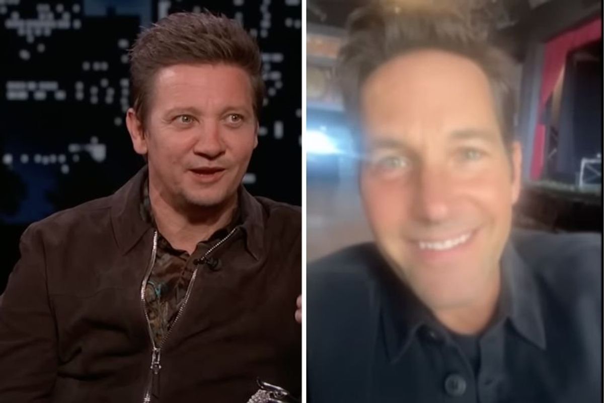 jeremy renner, paul rudd, cameo