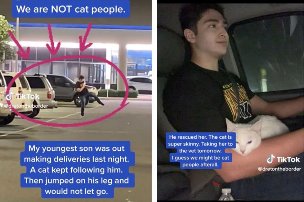 Cat decided a delivery driver was her new dad by clinging to his leg and refusing to let go