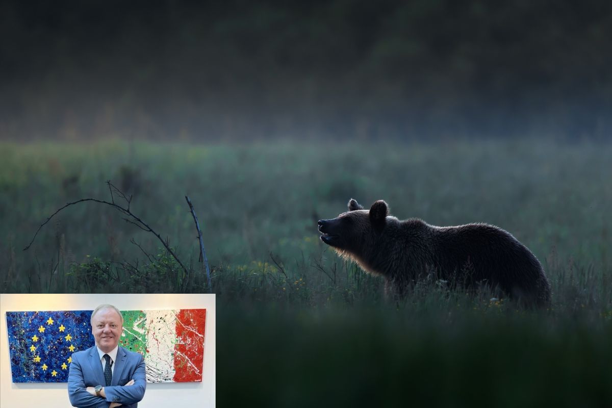 Berlato: «Abbattimento dell'orso trentino, io sono pronto»