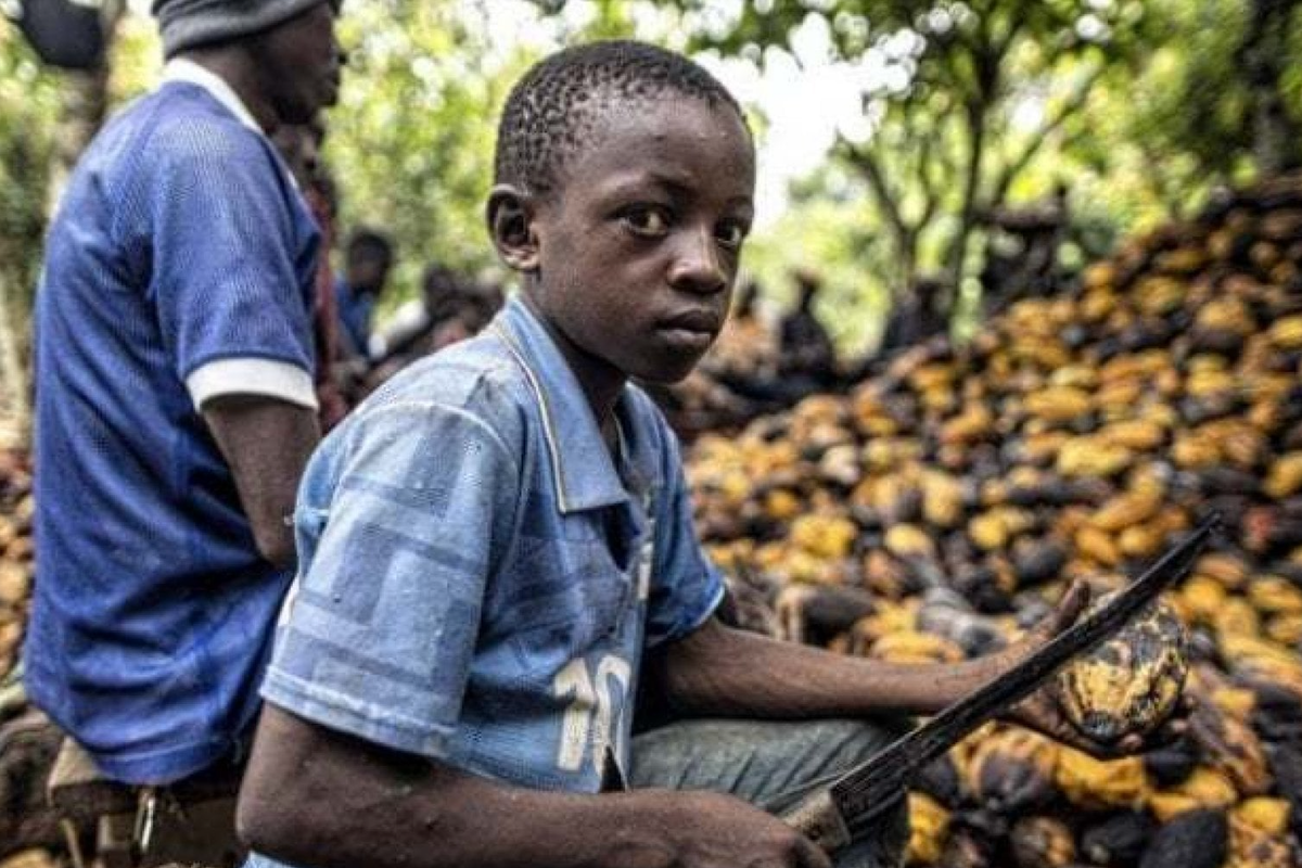 La criminalità organizzata e il business delle materie prime