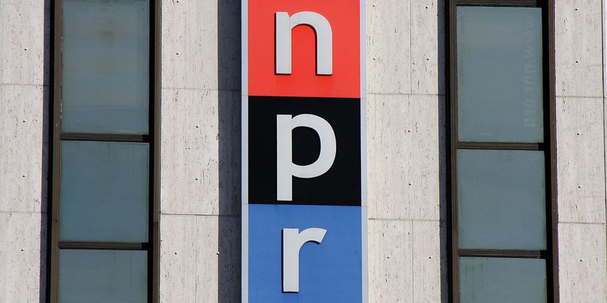 NPR, Elon Musk’a Emmesini Söylemek İçin Sakin, Sakinleştirici Radyo Tipi Ses Kullanıyor