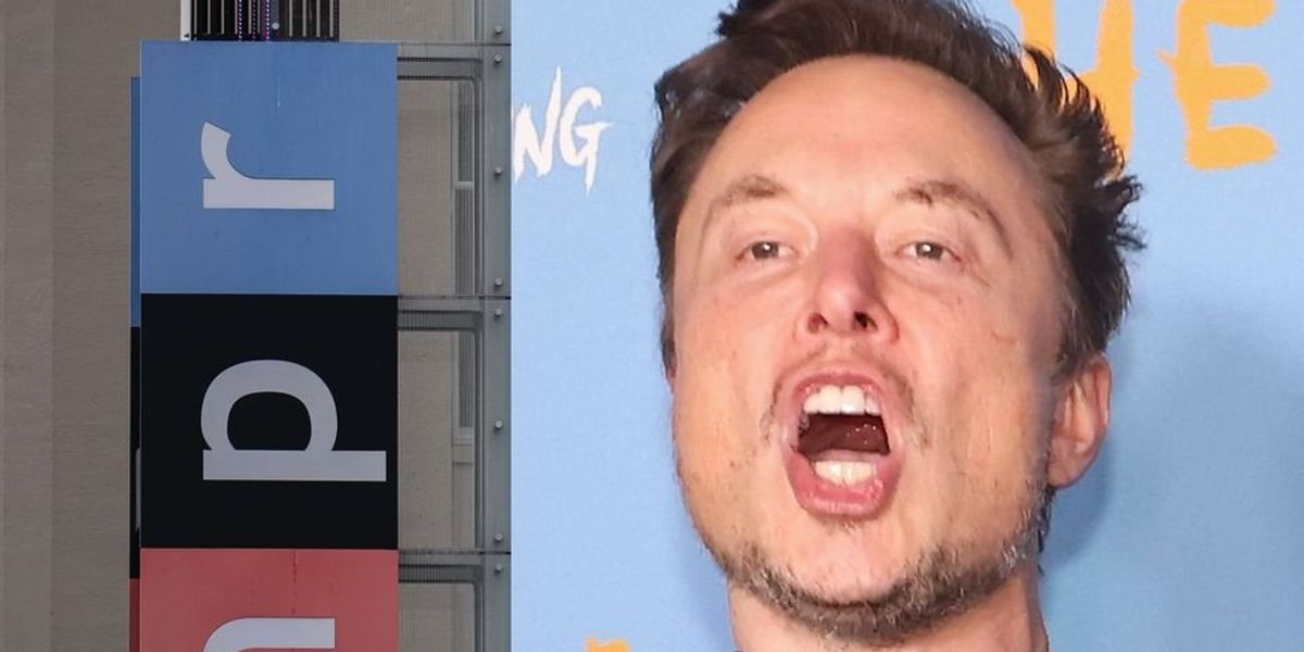 NextImg:Elon Musk fires back at NPR after it abandons Twitter for being labeled 'state-affiliated media'