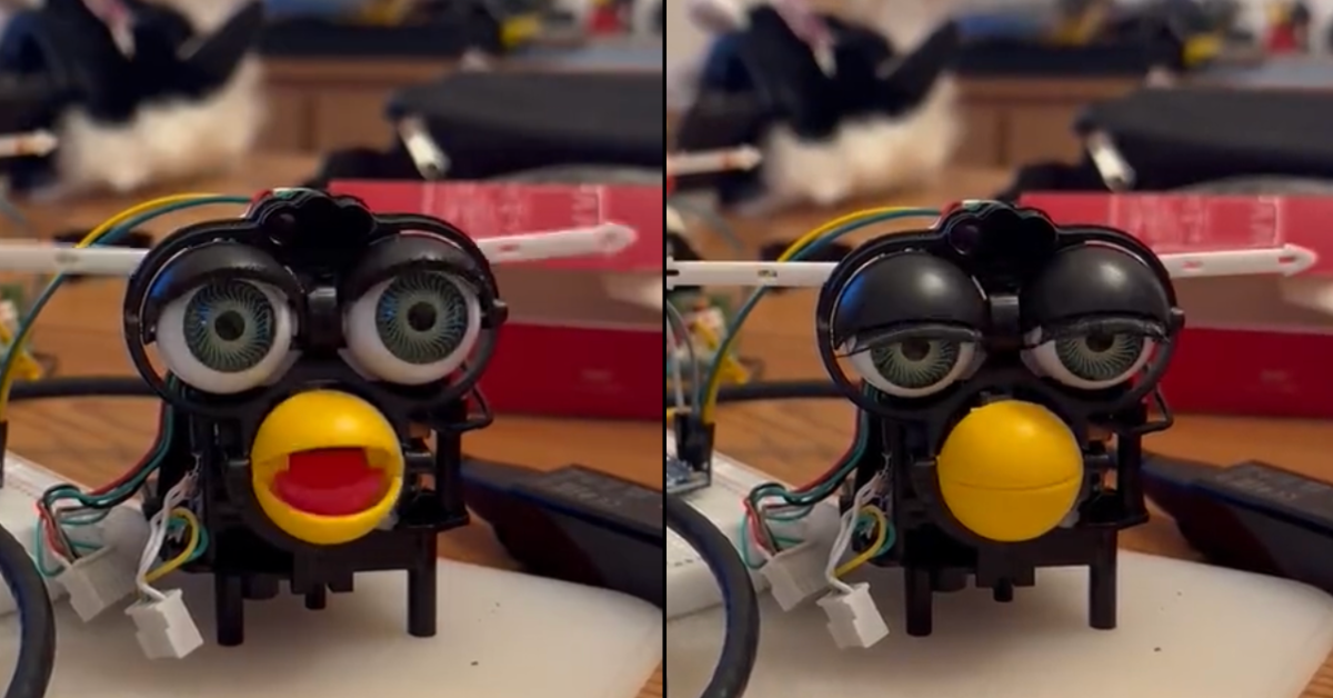Screenshots of @jessicard’s Twitter video of a furless Furby hooked up to Raspberry Pi