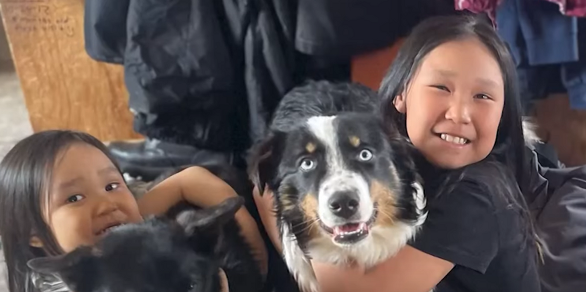 NextImg:Watch: Lost dog returns home to family after surviving epic 150-mile trek across Alaskan sea ice