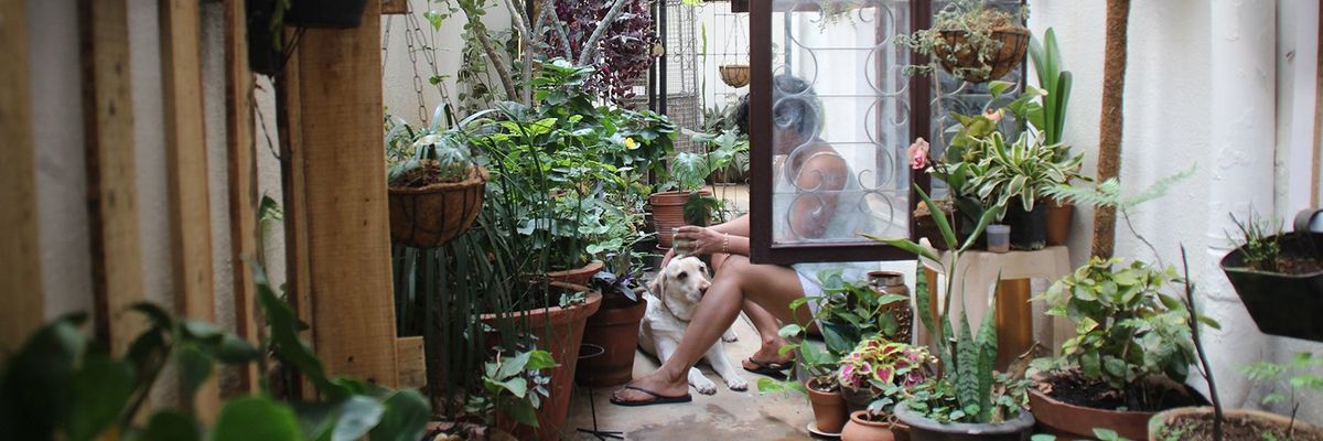 Girl sitting in a room surrounded by houseplants and a labrador dog