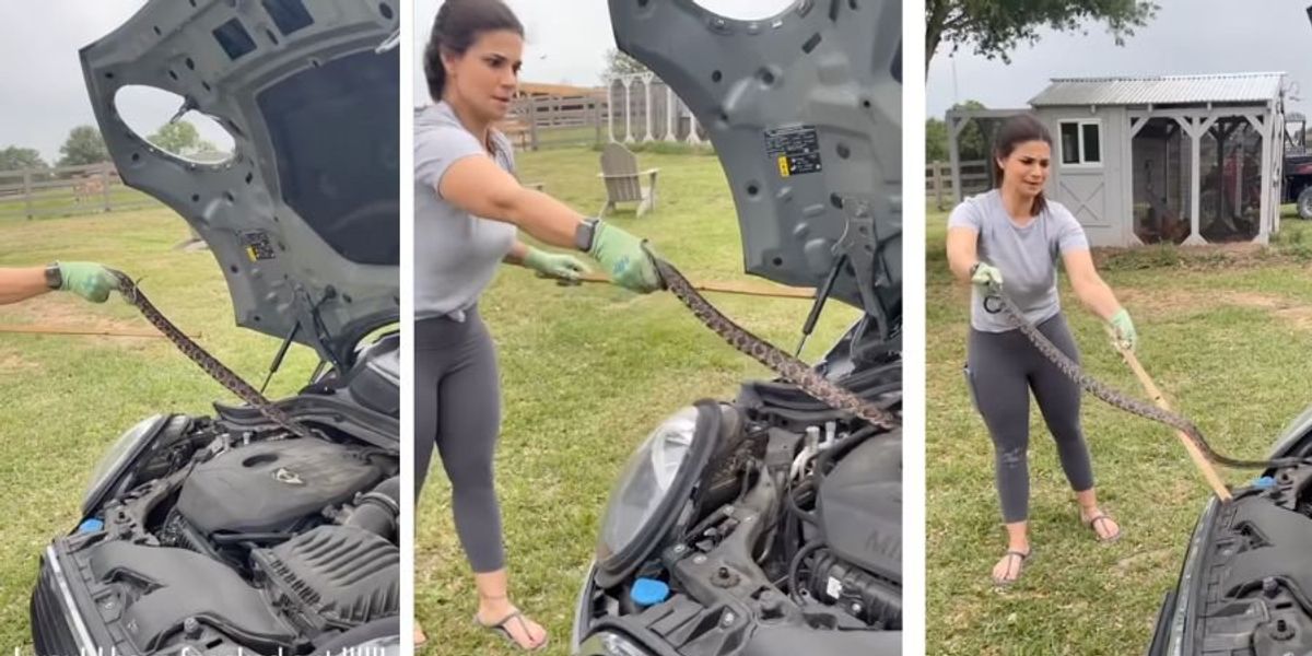 Mom pulls snake out of daughter's car engine Upworthy(02)