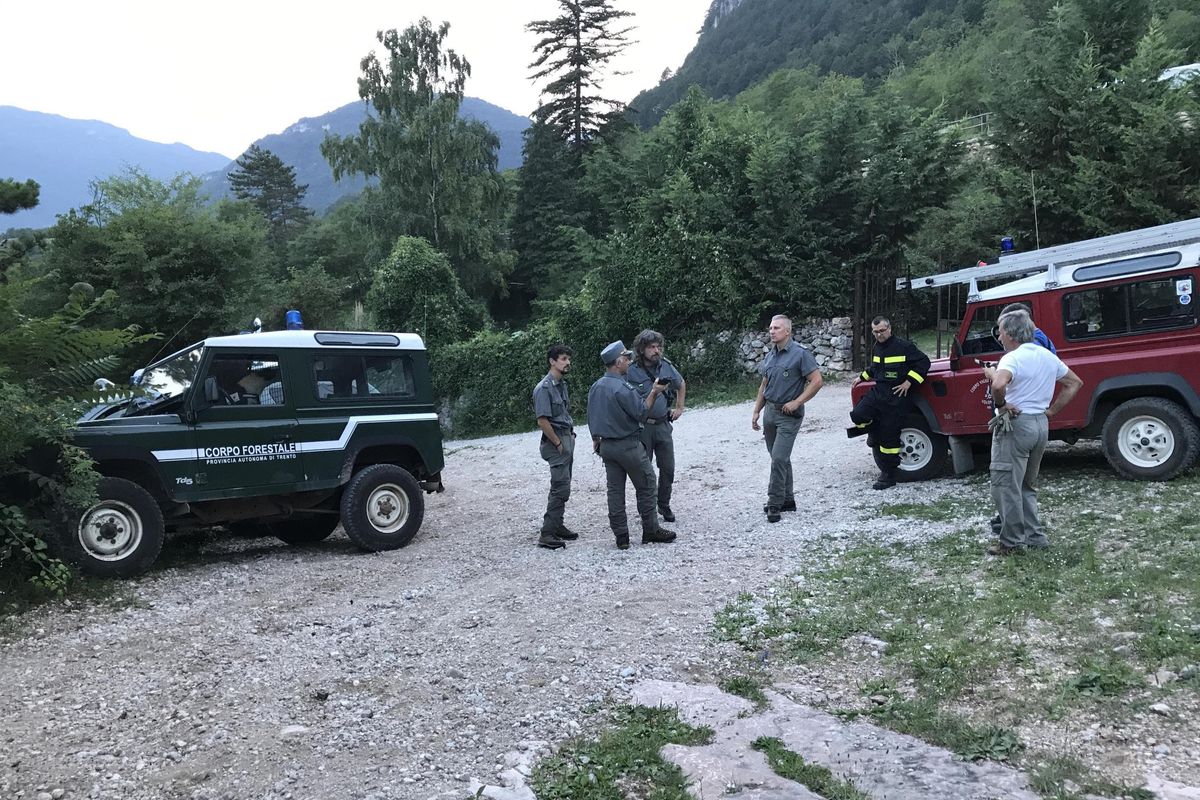 Il Tar salva l’orsa dopo gli abbagli degli uomini