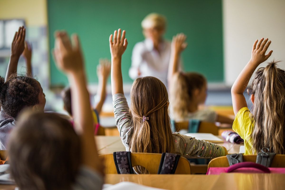 La propaganda fluida a scuola rovina i bimbi