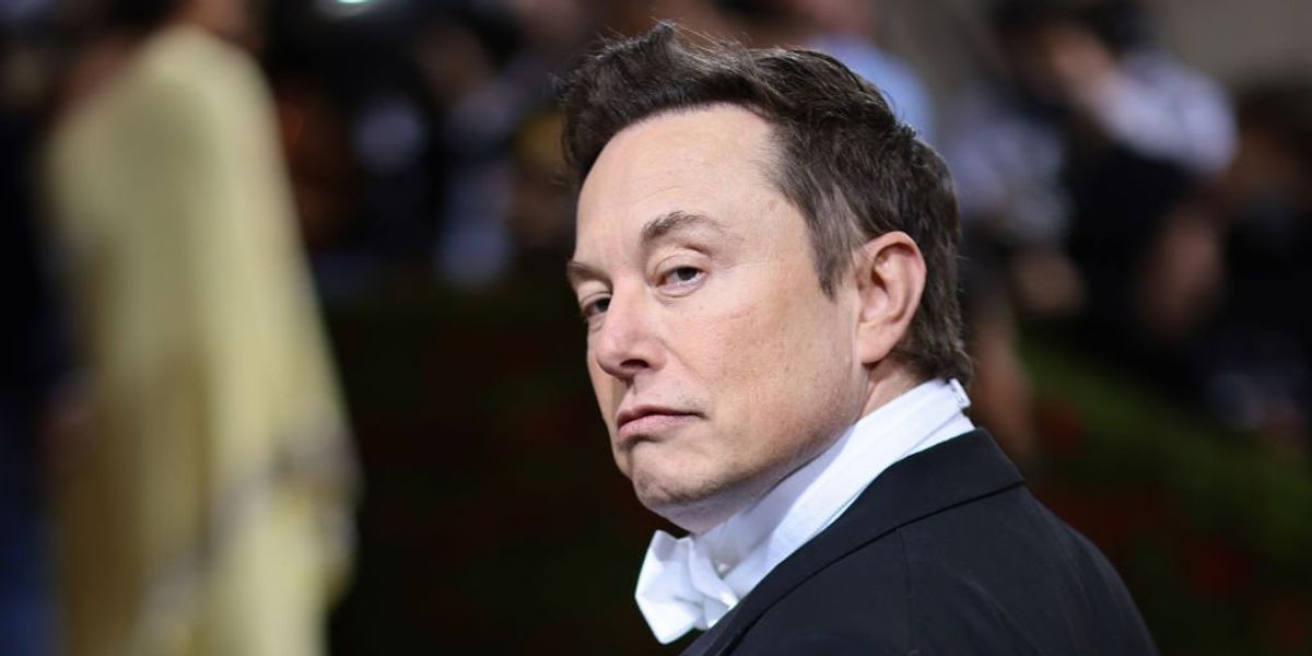 NextImg:Elon Musk calls out pronoun declarations as 'virtue-signaling' that bad people use as a 'shield'