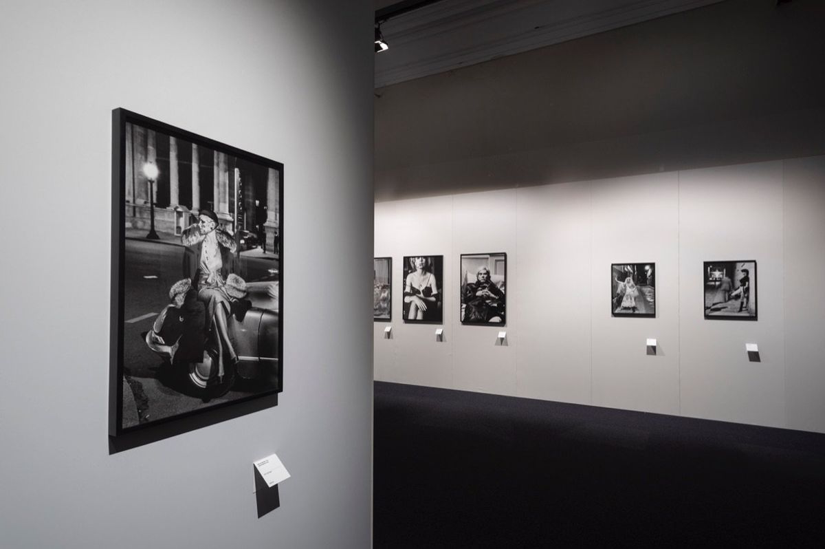 Helmut Newton a Palazzo Reale di Milano