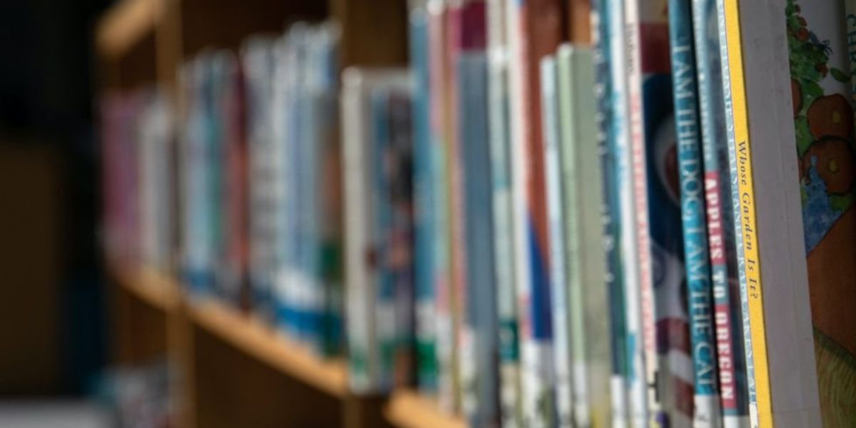 NextImg:Obama-appointed judge orders Texas county to replace library books with controversial transgender and racial content