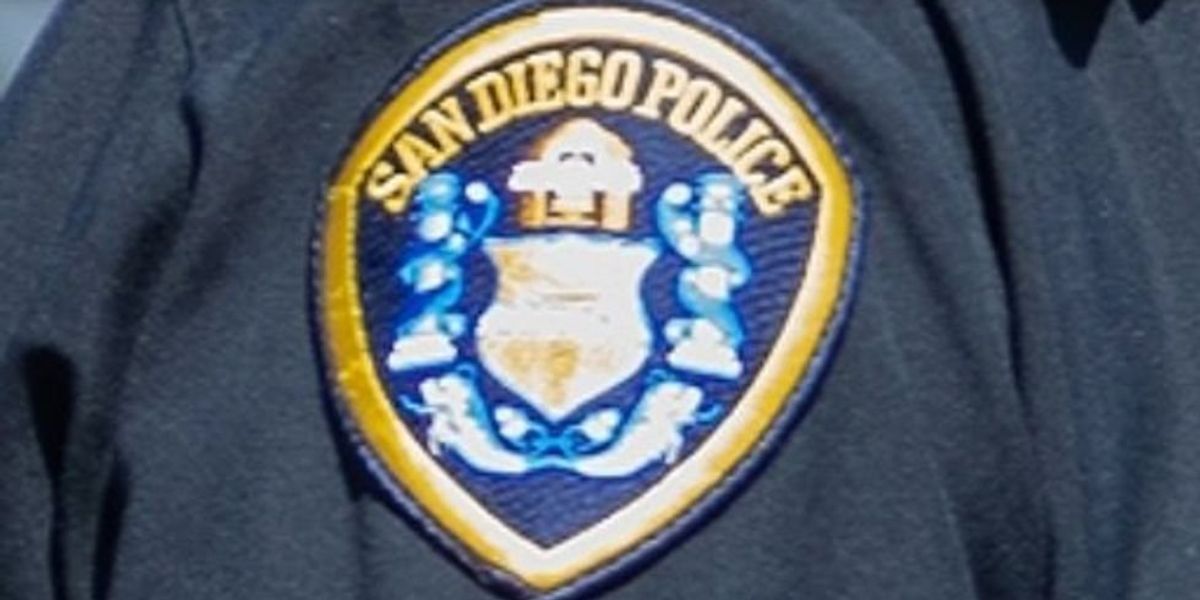 NextImg:Vice detective ran interstate prostitution ring after he retired