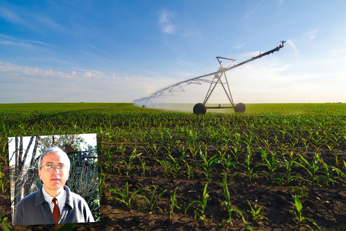 «Macché crisi, l’agricoltura è in crescita»