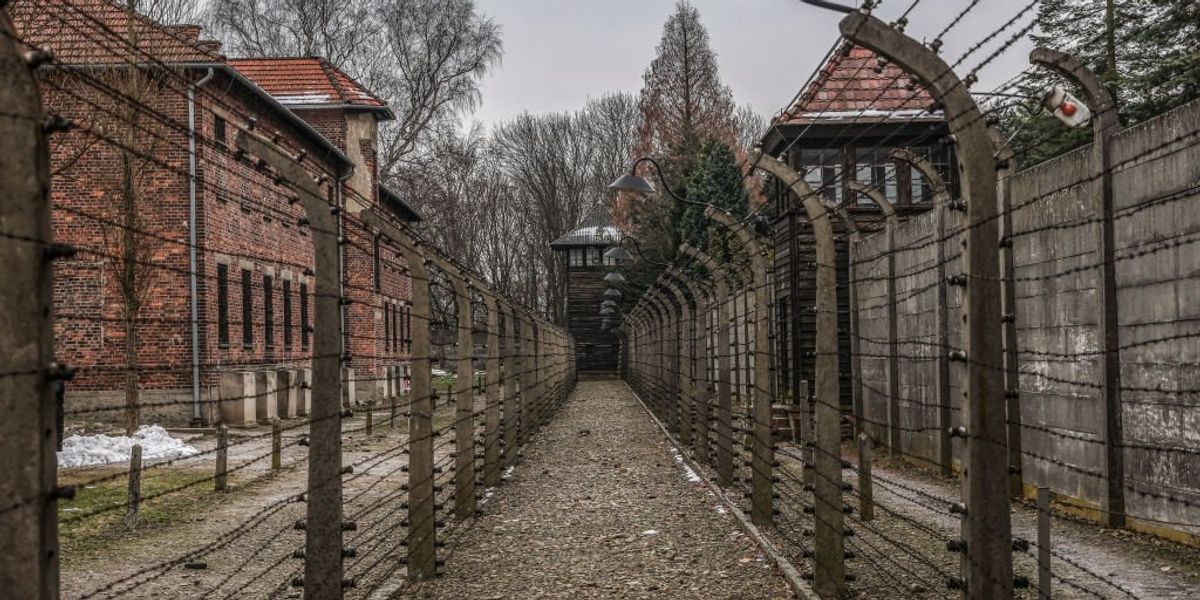 NextImg:WWE apologizes for accidentally using Auschwitz footage during WrestleMania promo