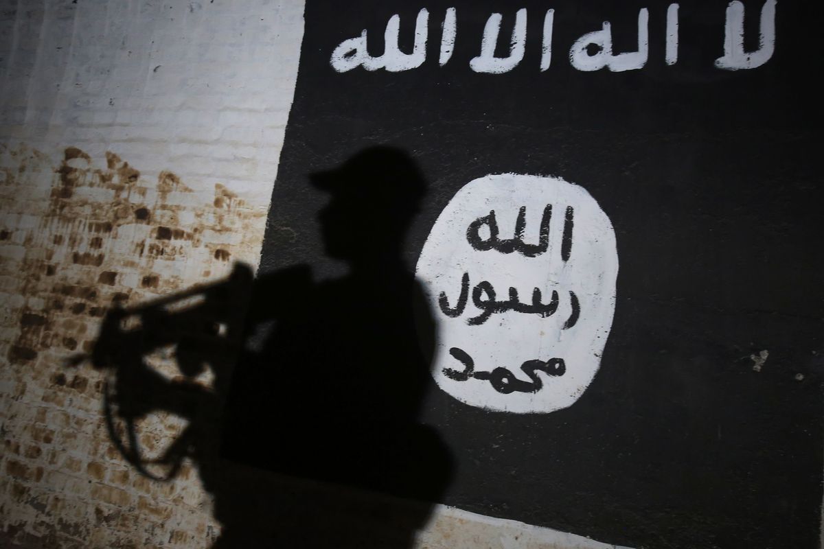 «L’Isis è rinato e tornerà a colpire». Nel pentolone social ribolle il terrore