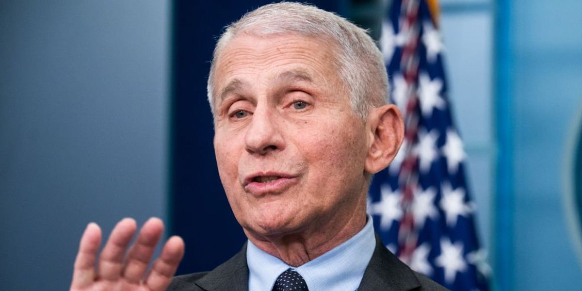 NextImg:'Show me a school that I shut down… I never did': Fauci denies responsibility for COVID lockdowns, school closures