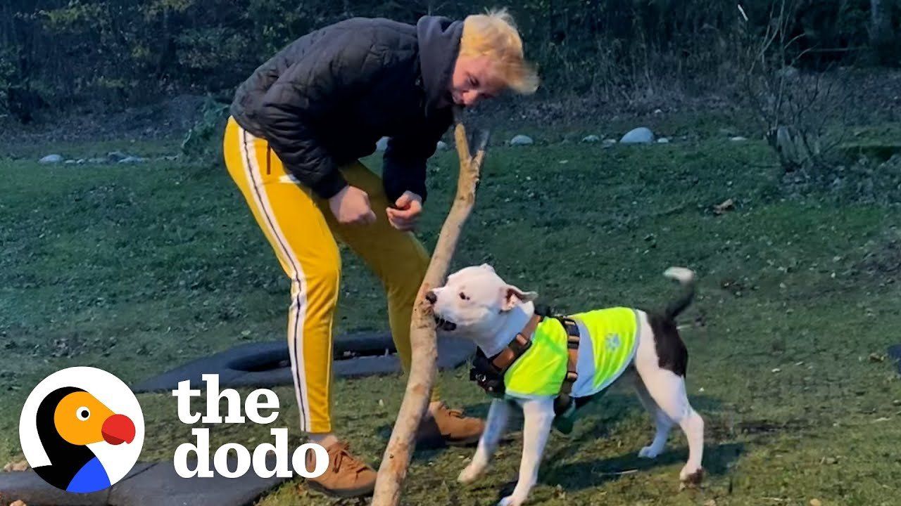 Dog s best friend is his crazy uncle and their hijinks keep their family entertained