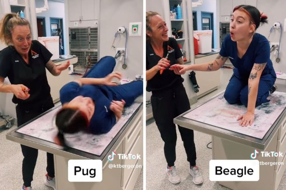 Vet tech hilariously reenacts how different dog breeds react to nail clippings
