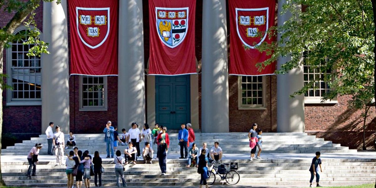 NextImg:Over 100 Harvard professors band together to protect free speech, prevent censorship on campus during 'crisis time'