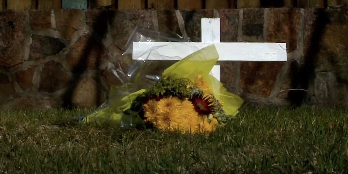 NextImg:Driver, 16, was 'listening to a song about murder' when he intentionally ran over 70-year-old pedestrian who later died, cops say