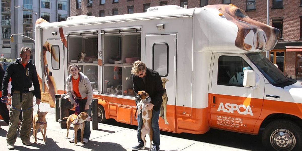 NextImg:ASPCA gives only 2% of its budget to pet shelters, while promoting 'radical and elitist' anti-farmer policies, bombshell report finds