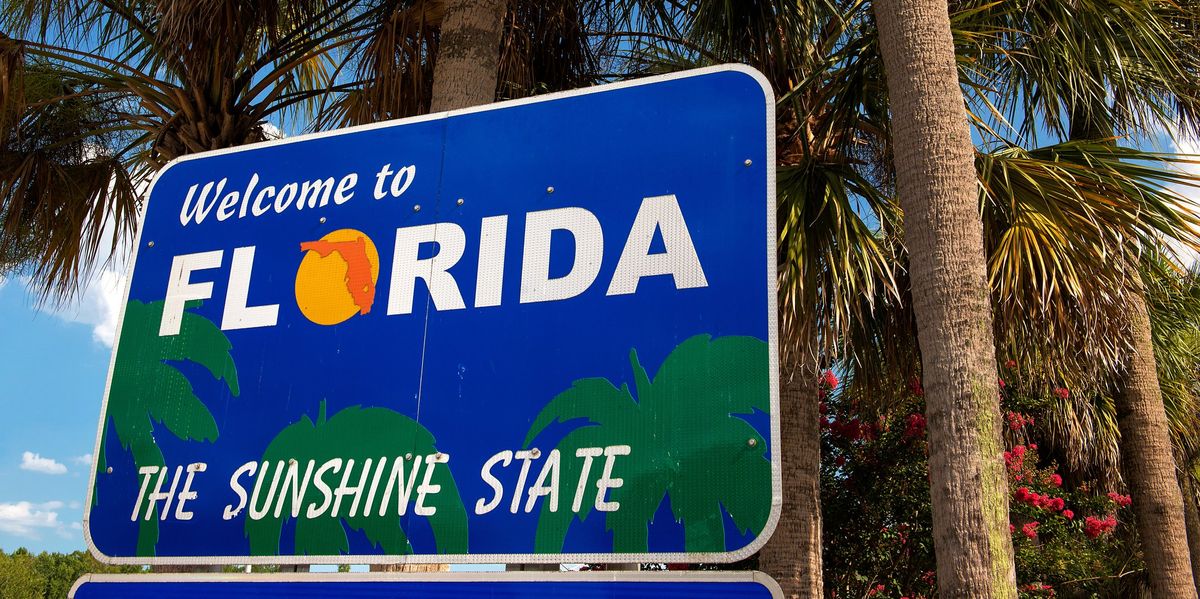 NextImg:Horowitz: Florida and Texas immigration bills are the only solution to the border invasion