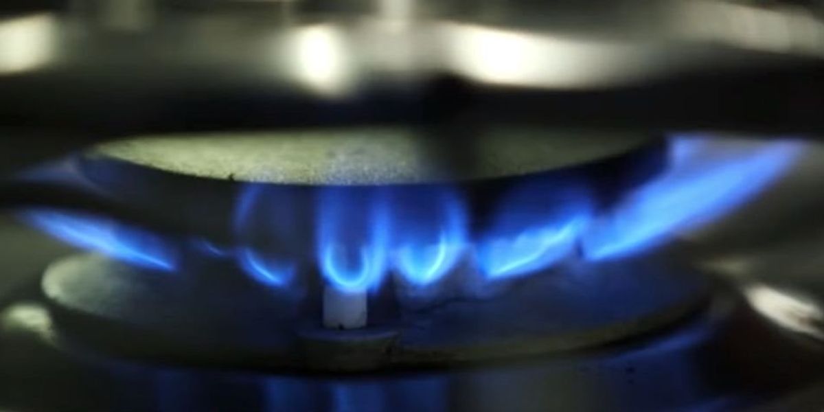NextImg:New York becomes first state to ban gas stoves and fossil fuels in new buildings to fight climate change