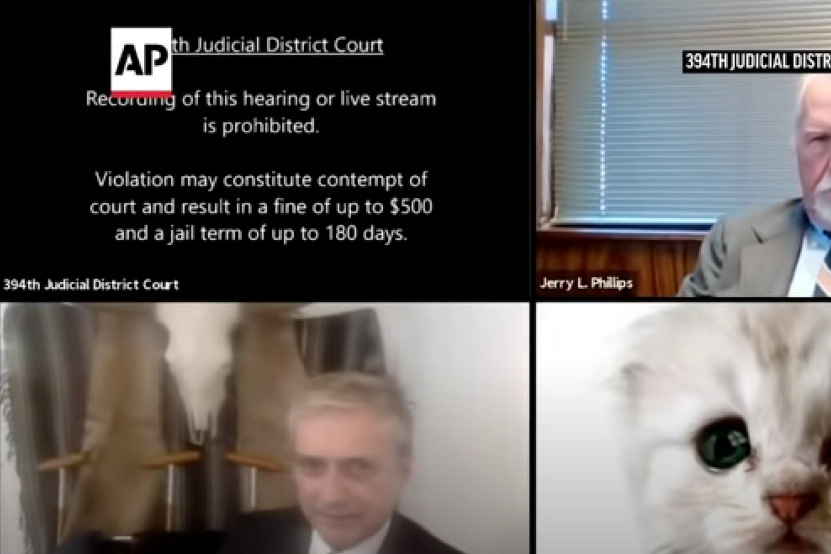 The Zoom Cat Lawyer Just Got Milkshake Ducked, Hard