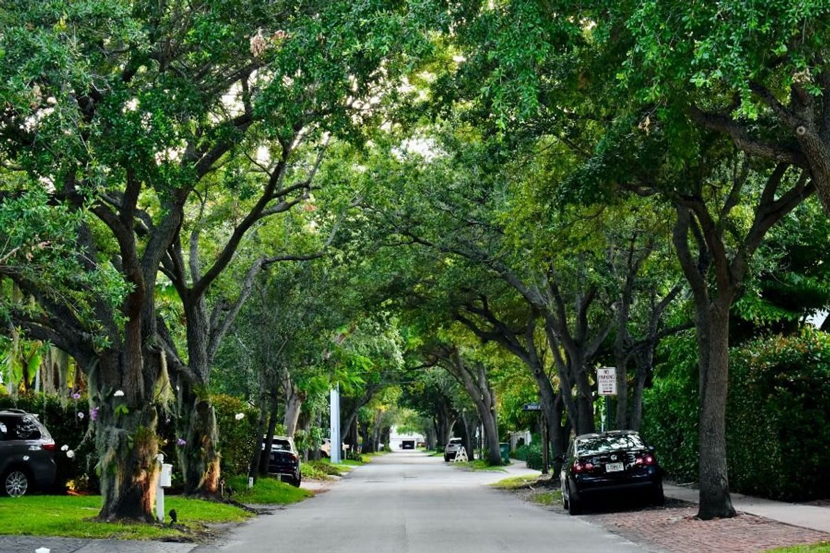 tree equity, environmental justice