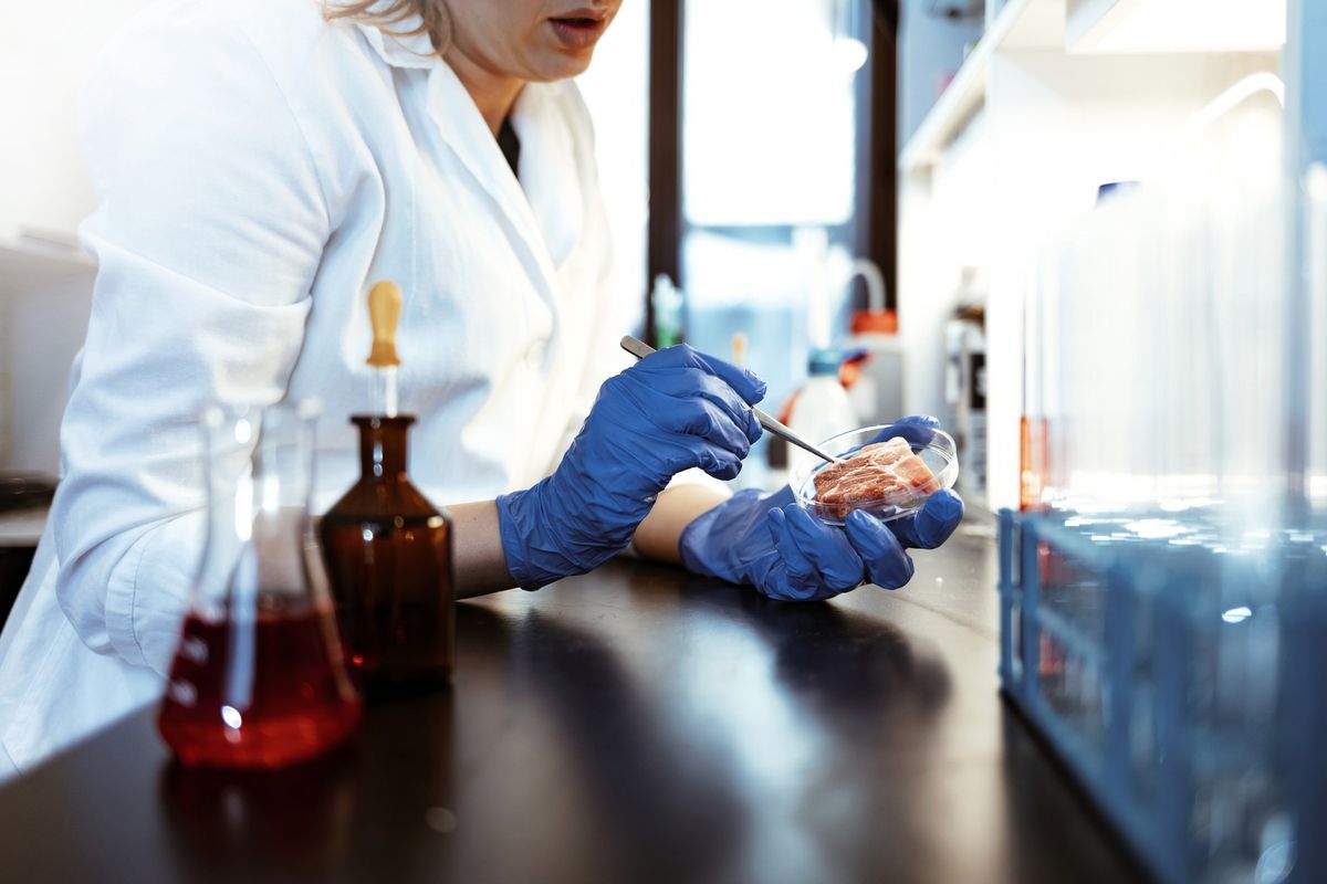 Ma pure gli amministratori di sinistra hanno capito che quel cibo è fregatura