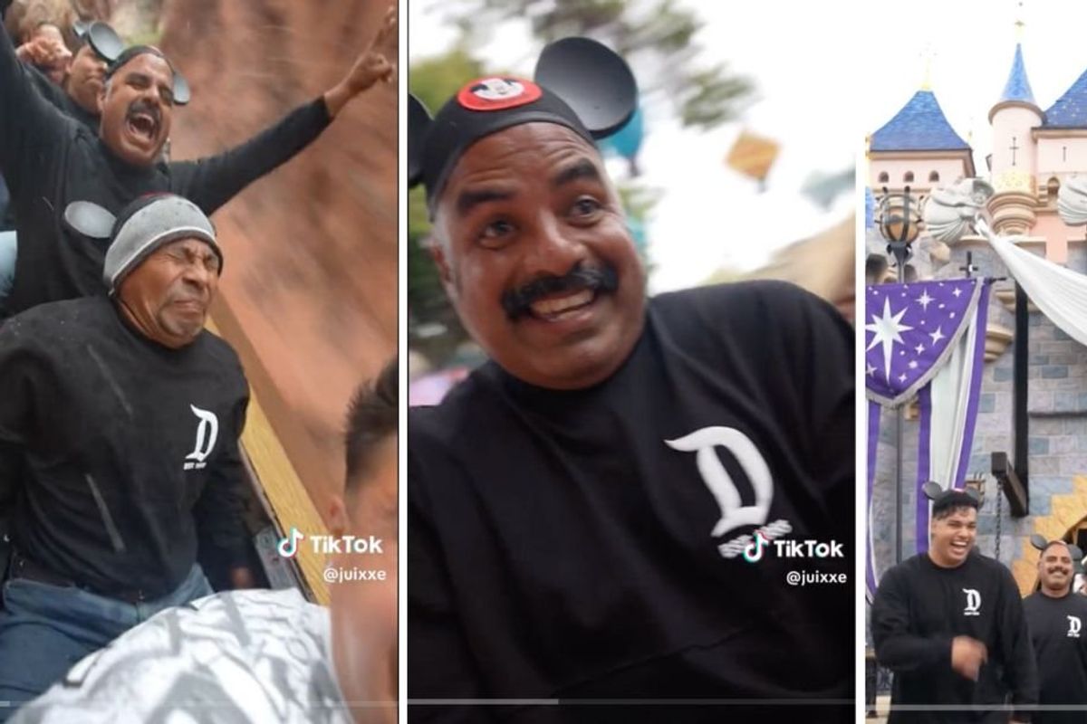 Disneyland; day workers; wholesome tiktok; faith in humanity