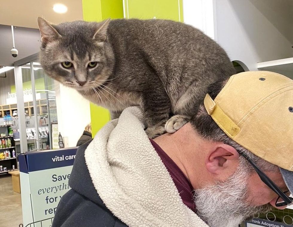 cat on shoulder