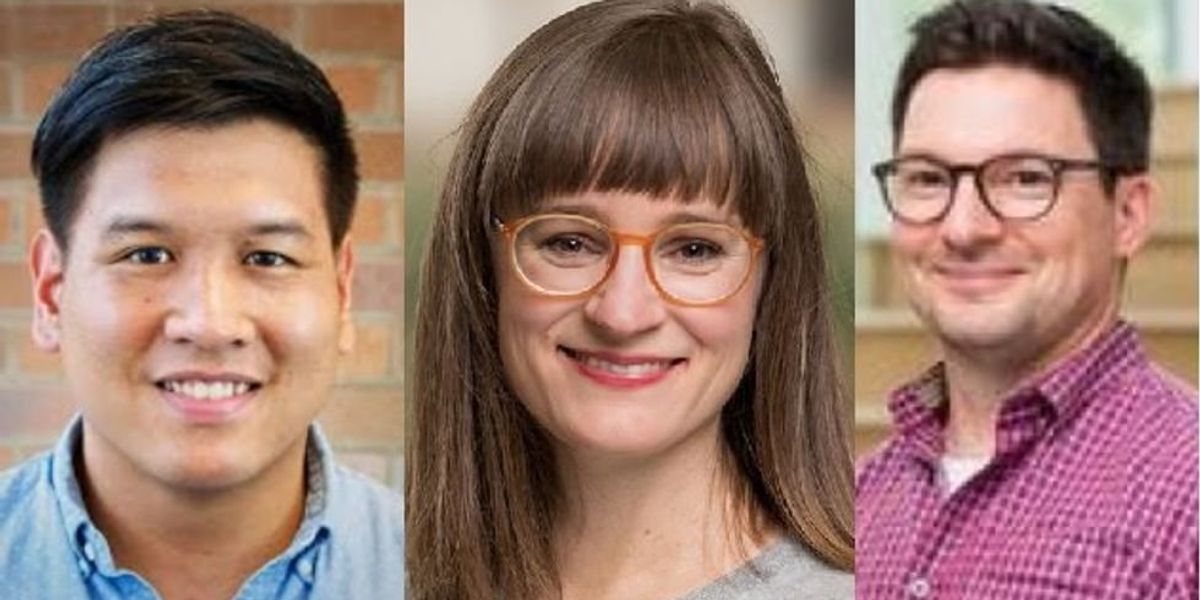 NextImg:'Inaccurate, misleading, or false': 3 DEI professors forced to retract article accusing University of Minnesota of 'structural racism'
