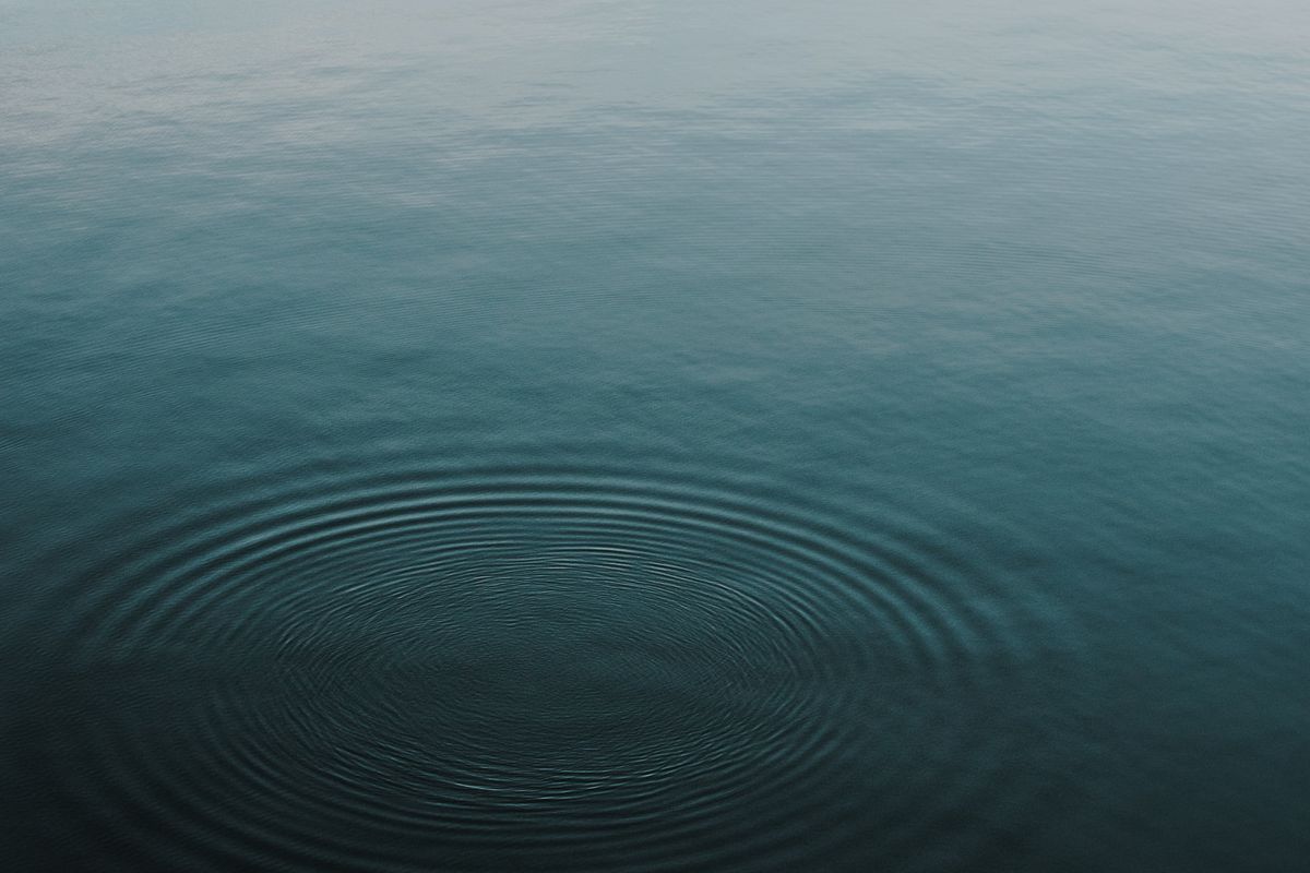 Calming Voices to Help Ease Our Stress