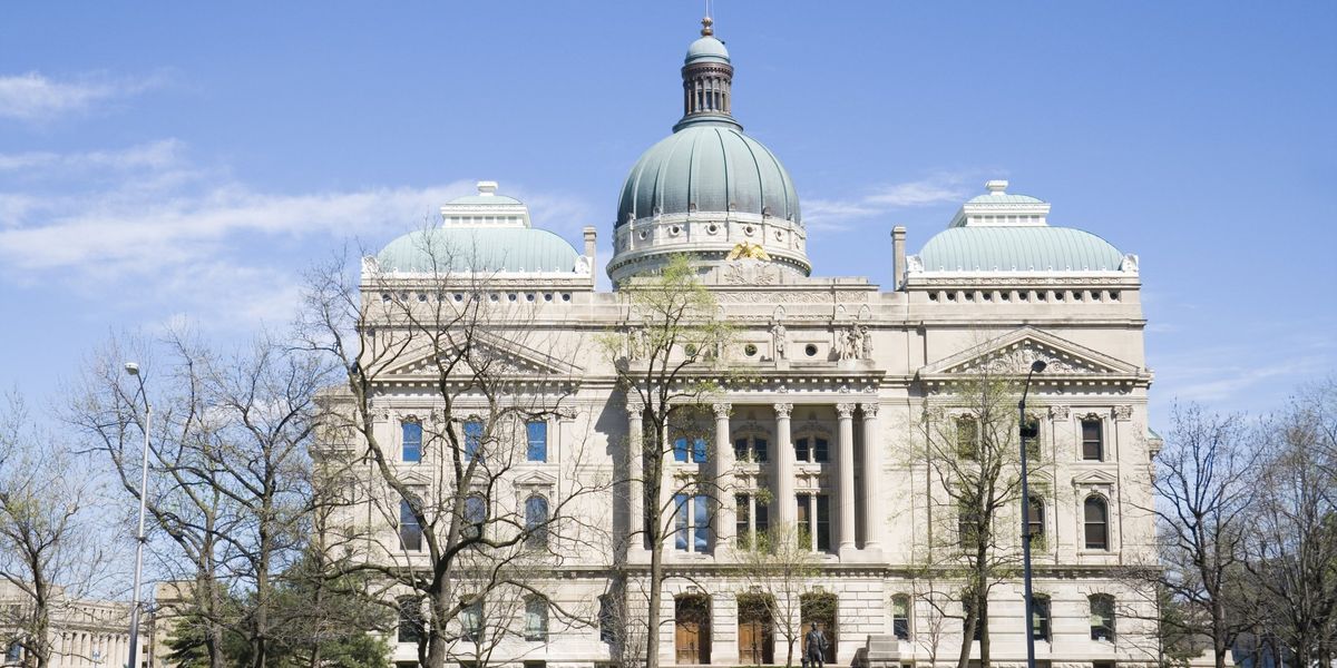 NextImg:Horowitz: State legislatures should convene special sessions to repel border invasion, bar education for illegal aliens