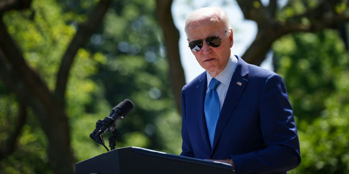 NextImg:'Very f***ing worried': Democrats are panicking over fears that Trump could beat Biden in 2024