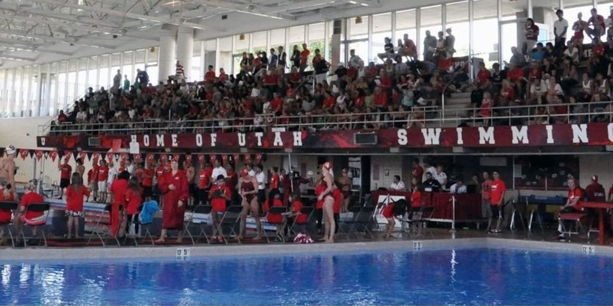 NextImg:College diver skips town after co-ed accuses him of rape