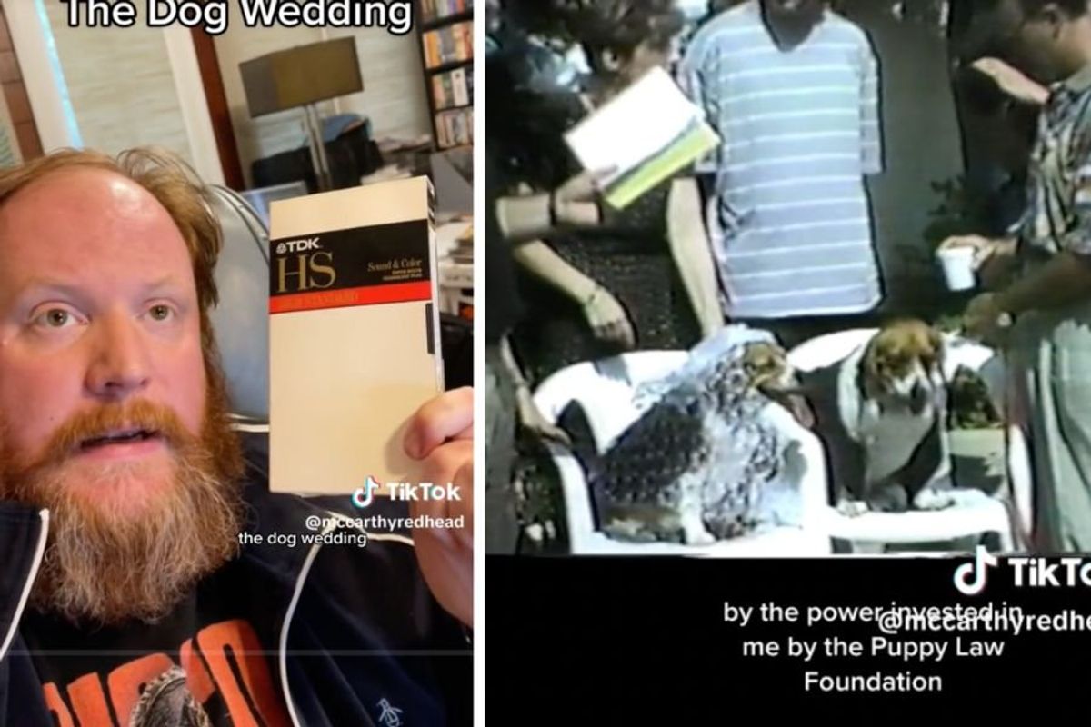 dog wedding, vhs tapes, wedding, dogs