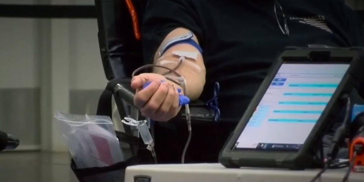 NextImg:American Red Cross goes woke, celebrates allowing more gay men to donate blood, wants donors to 'self-identify' their gender