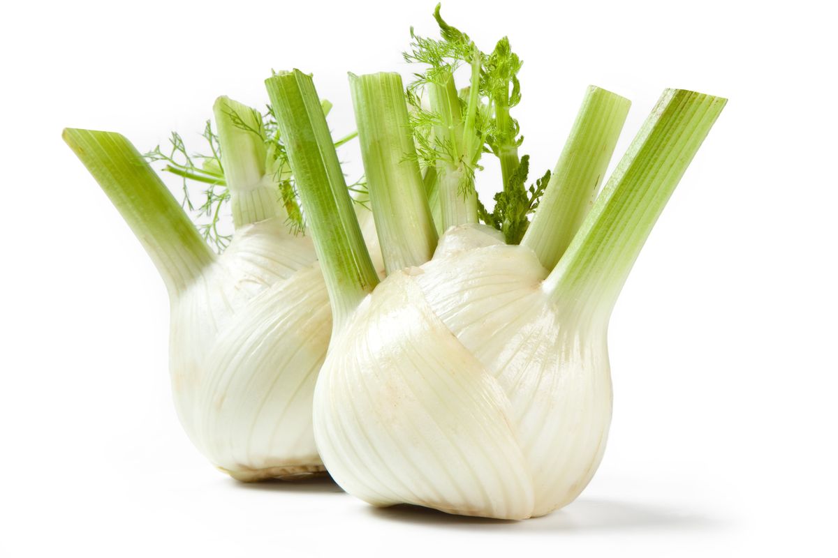 Che sia selvaggio o coltivato, il finocchio è il miglior alleato di chi sta seguendo una dieta