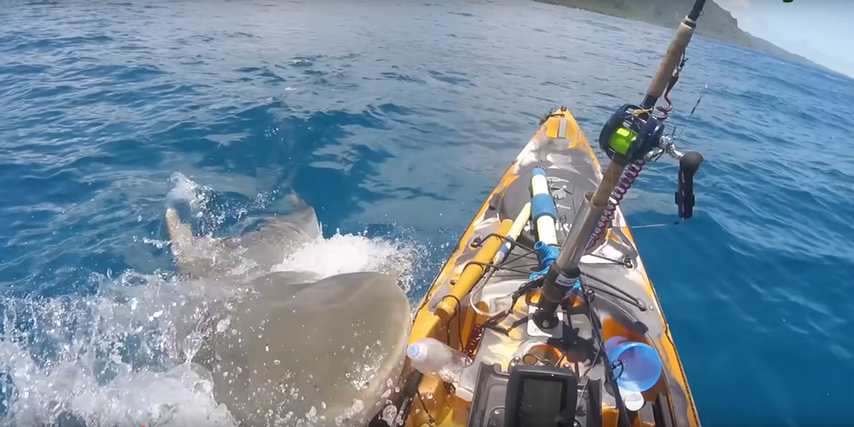 'Thank you Jesus!' Fisherman narrowly escapes kayak-chomping shark, accidentally captures viral video
