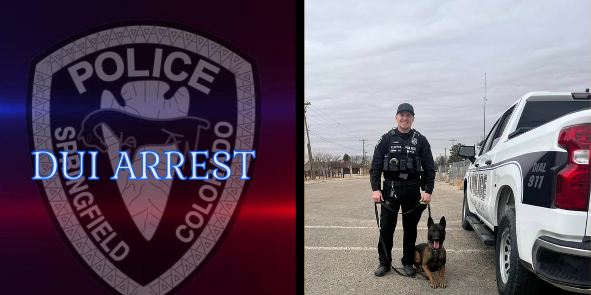 Man allegedly swaps places with dog after he’s pulled over; man faces DUI charges, dog receives playful ‘warning’ Man allegedly swaps places with dog after he’s pulled over; man faces DUI charges, dog receives playful ‘warning’