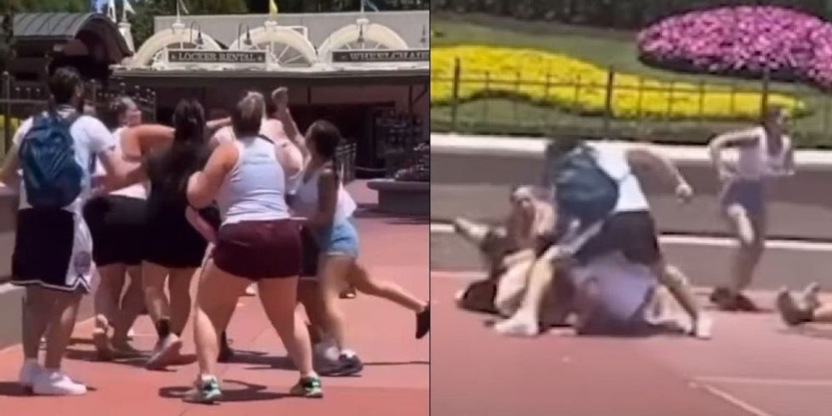 NextImg:Family photo at Disney World turns violent after another family refuses to move out of the way