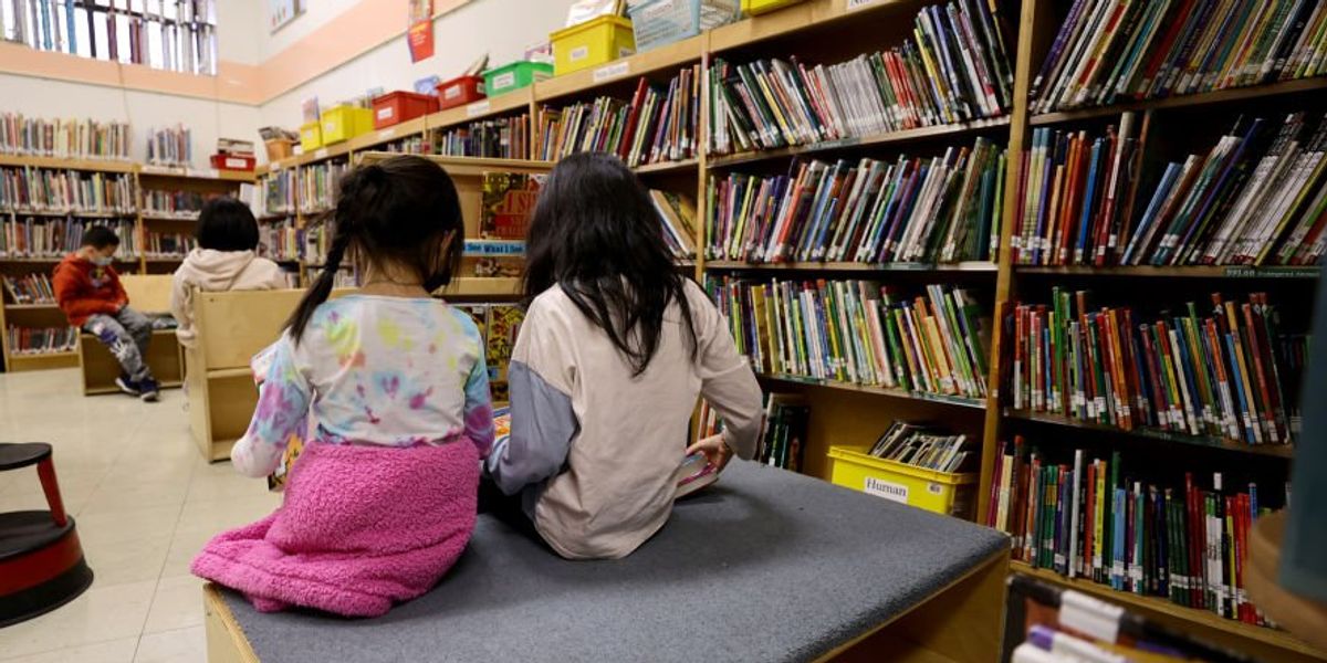 School district that removed sexually explicit books sued by publisher, authors who blast 'extremist minority' for silencing 'LGBTQ,' 'non-white' voices