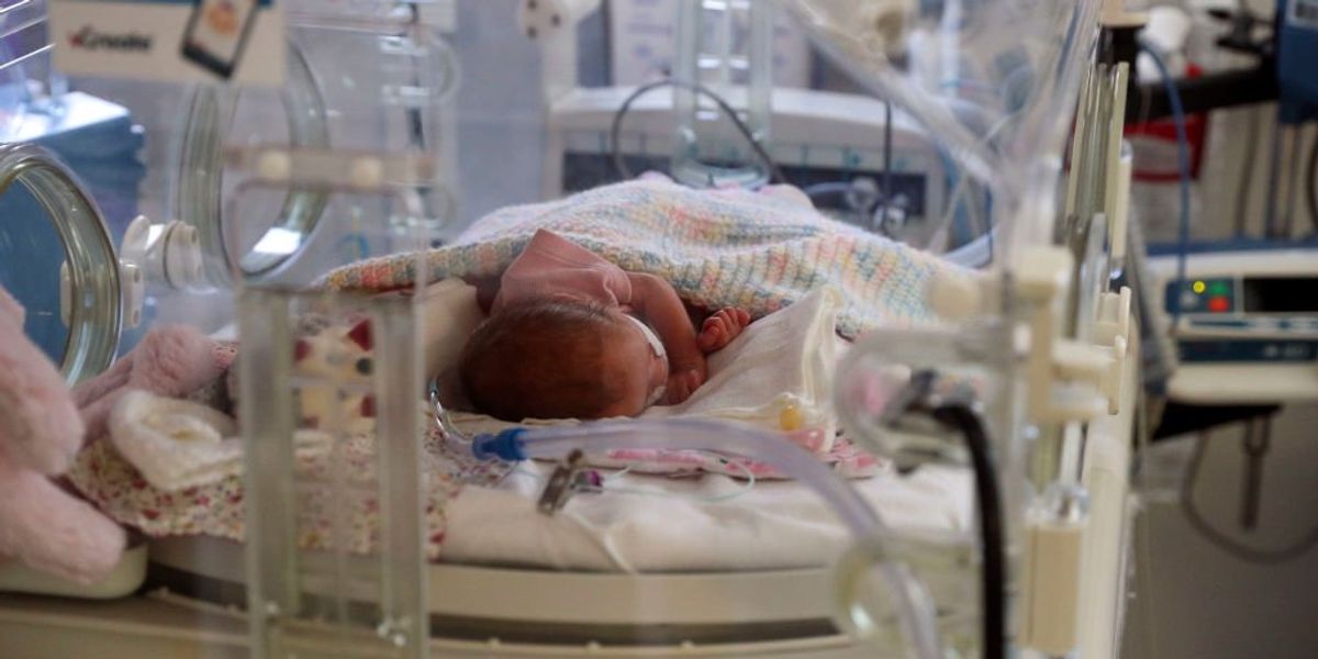 NextImg:WHO issues alert about 'unusual' cluster of deadly infant myocarditis cases in the UK