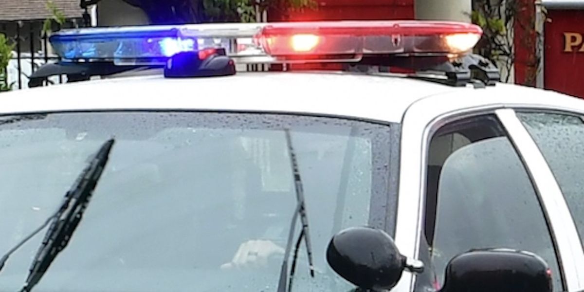 NextImg:Police vehicle pursuits banned in Seattle except for officers with specific departmental training: Police source